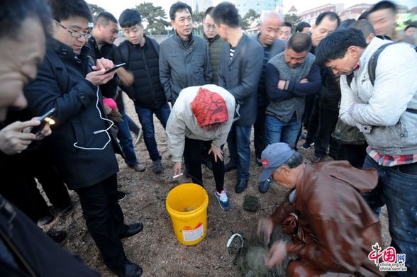 　　2015年3月26日，青岛栈桥一侧水域，市民趁夜幕涨潮时段撒网捕捞梭鱼。中国网图片库 王海滨/摄 