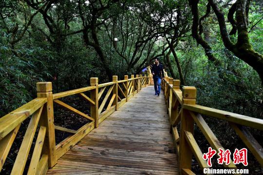 桂林猫儿山启动众筹方式保护漓江源头生态环境